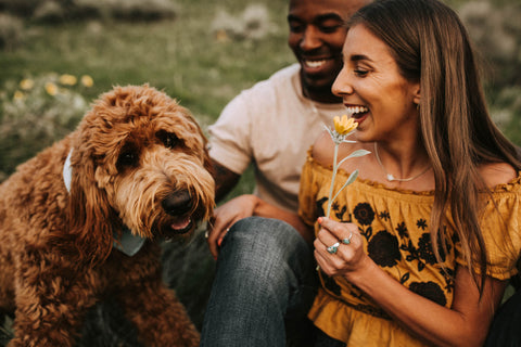 Weekly Favorites: May 31