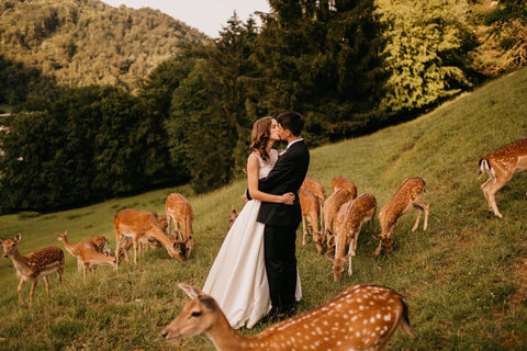 Easy breazy tips for wedding photographers to get you blogging like a pro