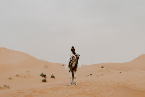 How to offset your carbon footprint as a wedding photographer